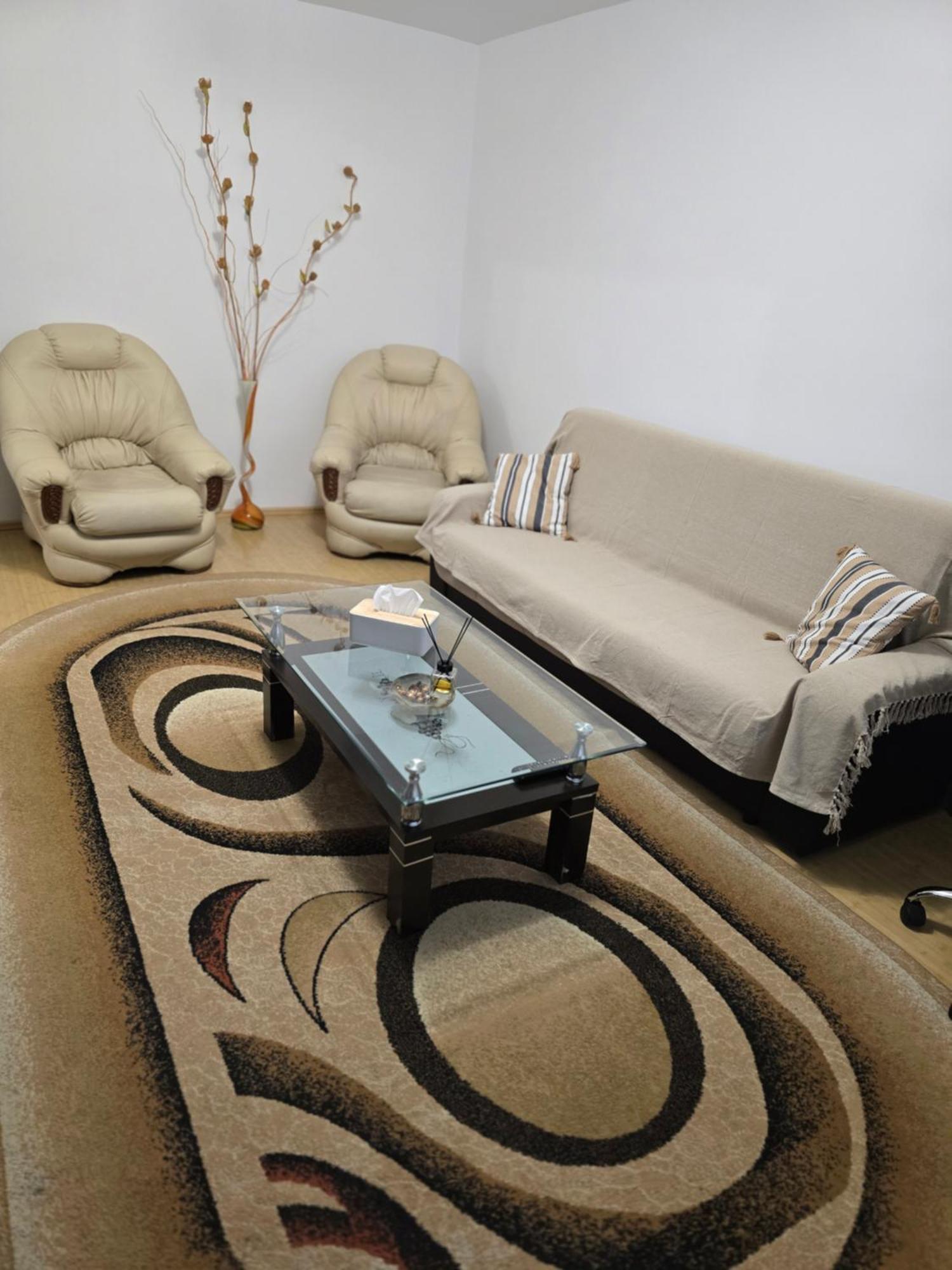 Ultracentral Cuza Voda Apartment